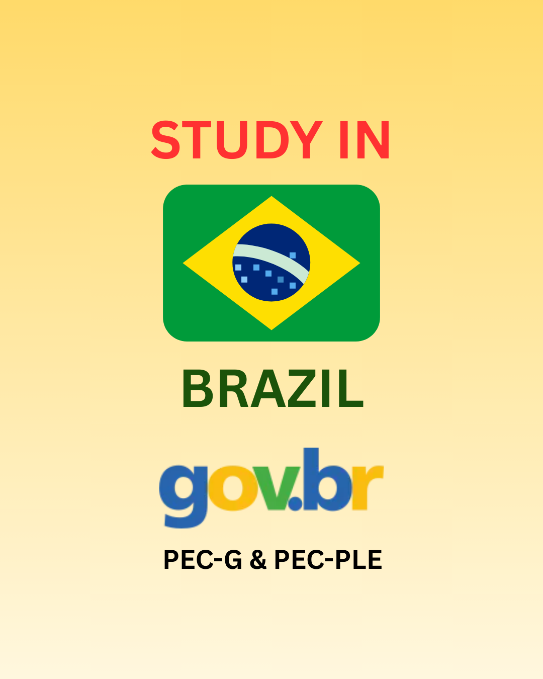 higher-studies-in-brazil